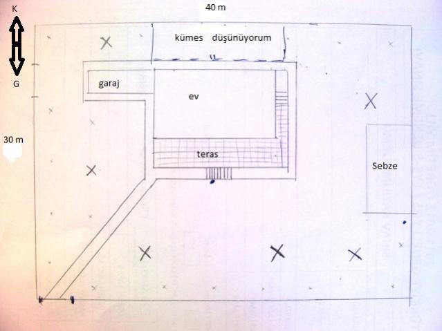 Name:  SANY0007.jpg
Views: 1125
Size:  26.4 KB