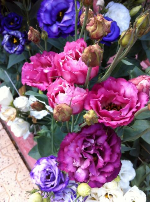 Name:  iphone 020.jpg
Views: 786
Size:  57.3 KB