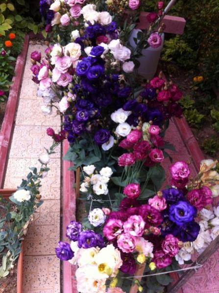 Name:  iphone 039.jpg
Views: 792
Size:  60.1 KB