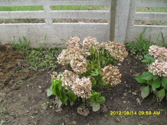 Name:  008.jpg
Views: 536
Size:  70.7 KB