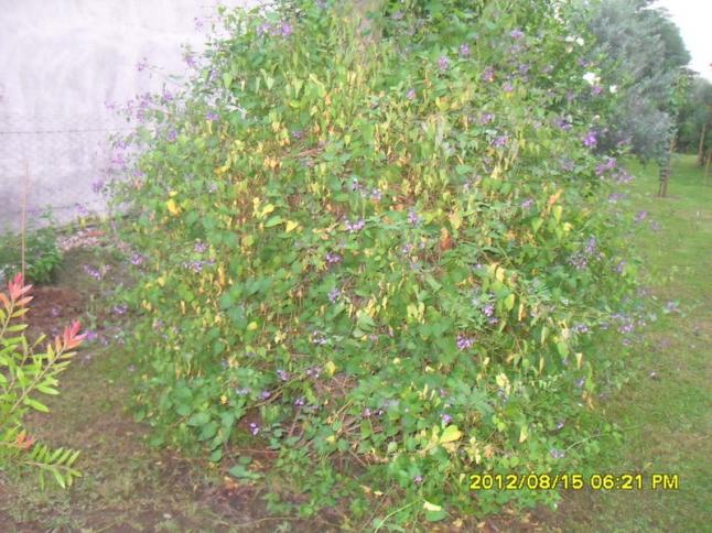 Name:  072.jpg
Views: 503
Size:  70.5 KB