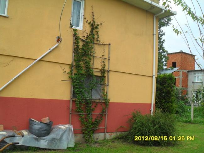 Name:  020.jpg
Views: 523
Size:  45.2 KB