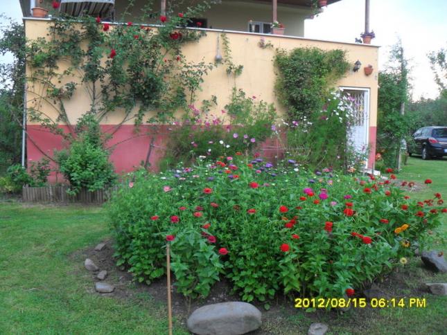 Name:  036.jpg
Views: 508
Size:  70.3 KB