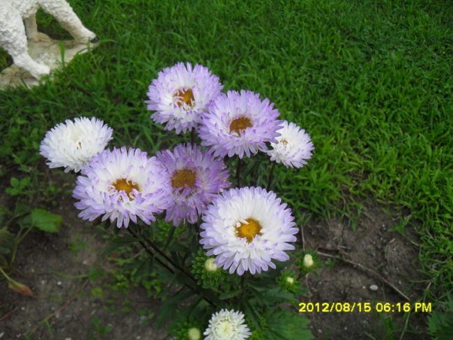 Name:  050.jpg
Views: 534
Size:  59.1 KB