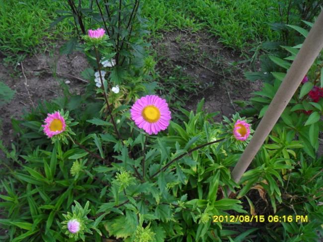 Name:  049.jpg
Views: 529
Size:  67.2 KB