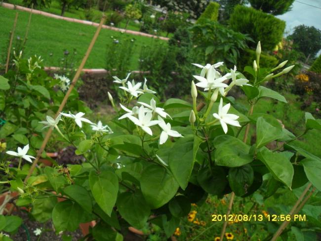 Name:  012.jpg
Views: 507
Size:  56.9 KB