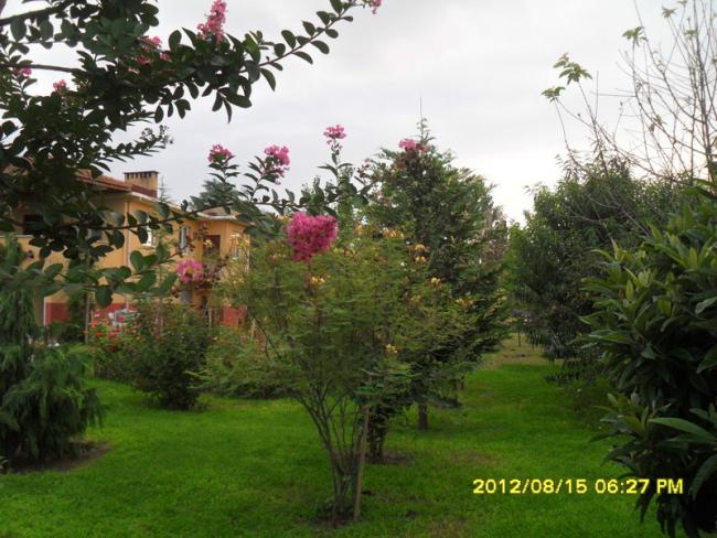 Name:  080.jpg
Views: 489
Size:  60.8 KB