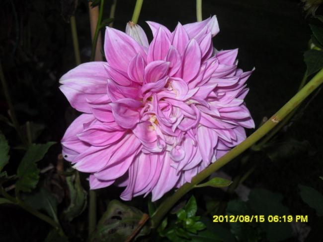 Name:  065.jpg
Views: 491
Size:  39.3 KB