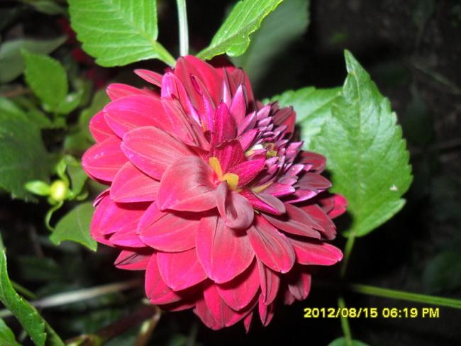 Name:  064.jpg
Views: 526
Size:  44.7 KB