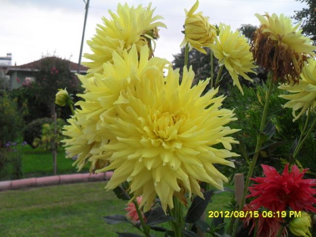 Name:  063.jpg
Views: 499
Size:  47.7 KB