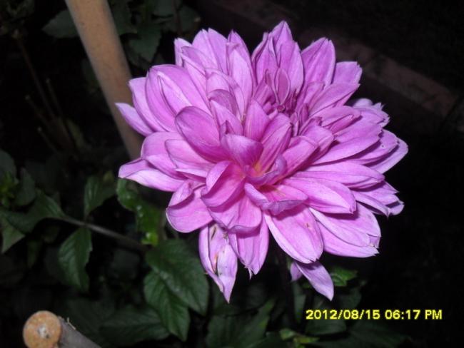 Name:  057.jpg
Views: 524
Size:  37.4 KB