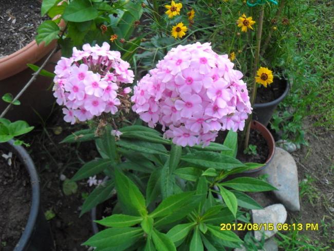 Name:  031.jpg
Views: 508
Size:  61.2 KB