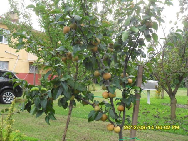 Name:  043.jpg
Views: 499
Size:  69.7 KB
