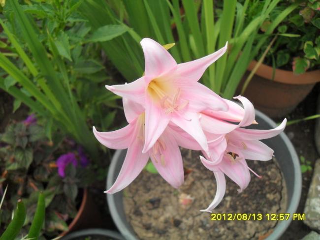 Name:  015.jpg
Views: 665
Size:  42.2 KB