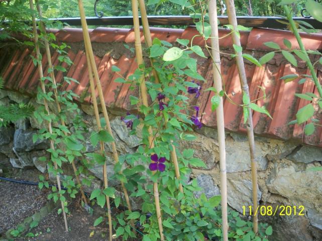Name:  101_0449.jpg
Views: 570
Size:  70.3 KB