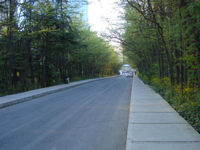 Name:  agacli-yol_172605.jpg
Views: 1095
Size:  53.1 KB