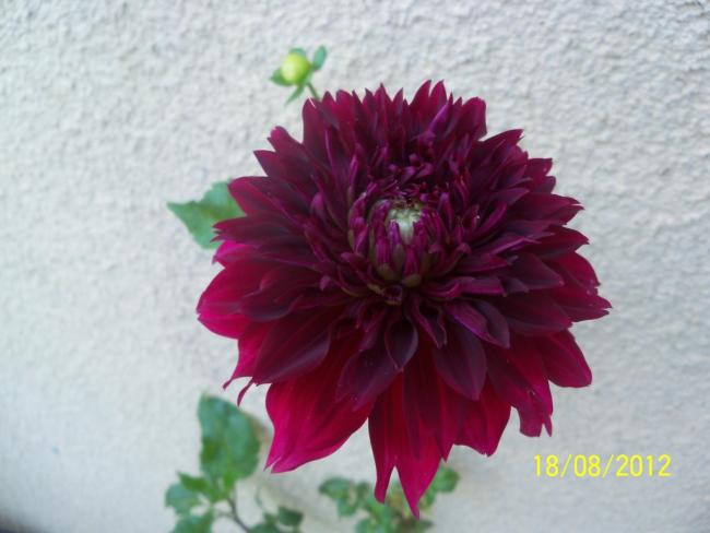 Name:  101_0756.jpg
Views: 441
Size:  34.5 KB