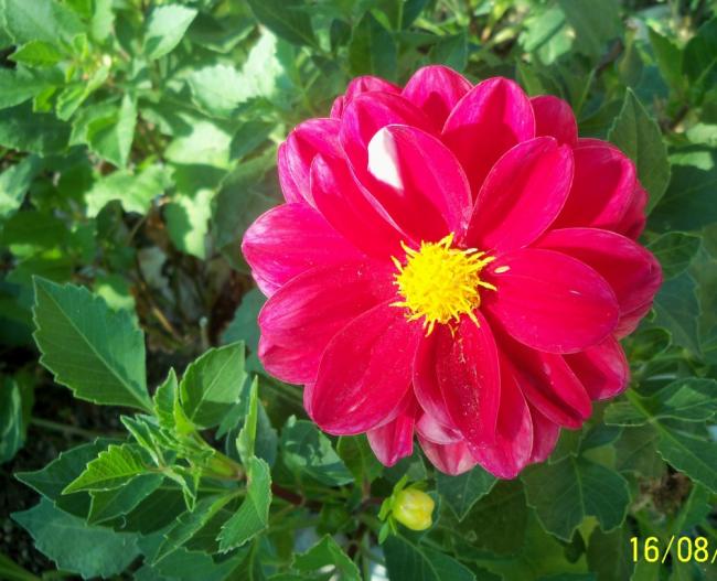 Name:  101_0620.jpg
Views: 451
Size:  54.0 KB