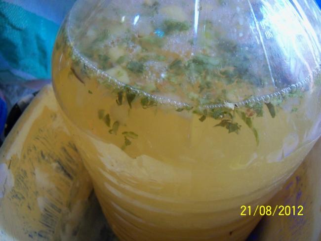 Name:  101_1087.jpg
Views: 416
Size:  33.7 KB