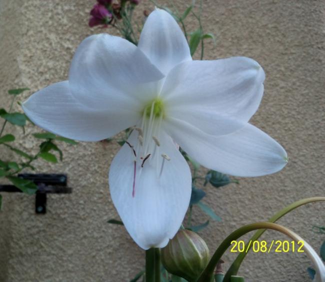Name:  101_0984.jpg
Views: 1265
Size:  42.9 KB