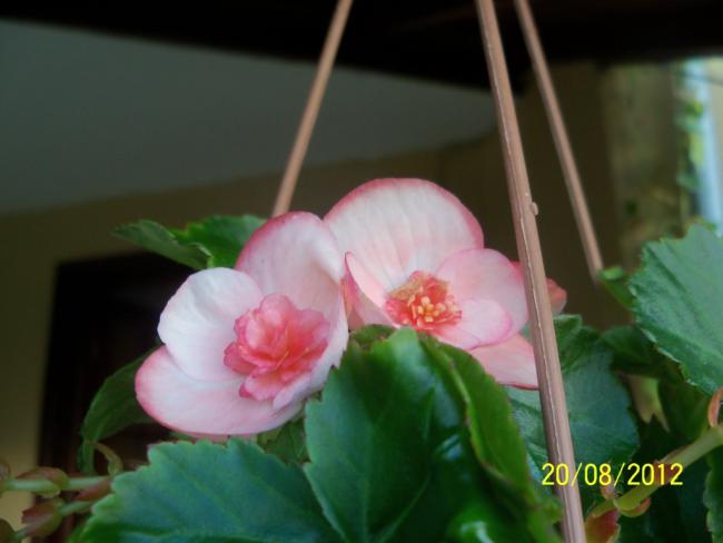 Name:  101_0994.jpg
Views: 1259
Size:  28.9 KB