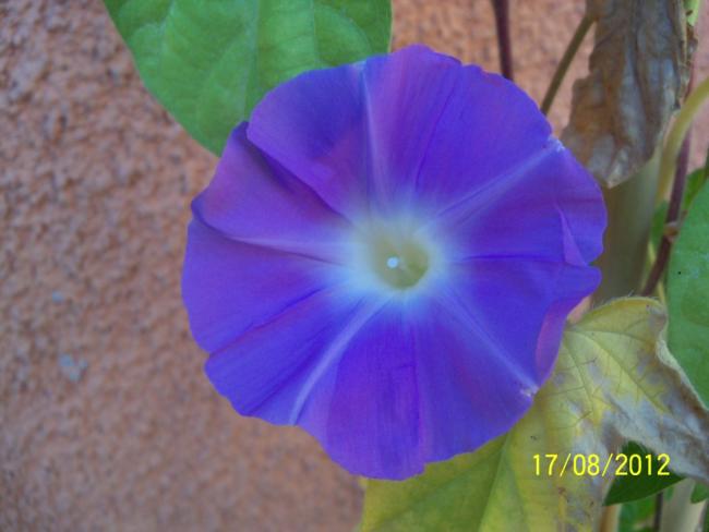 Name:  101_0690.jpg
Views: 1327
Size:  31.3 KB