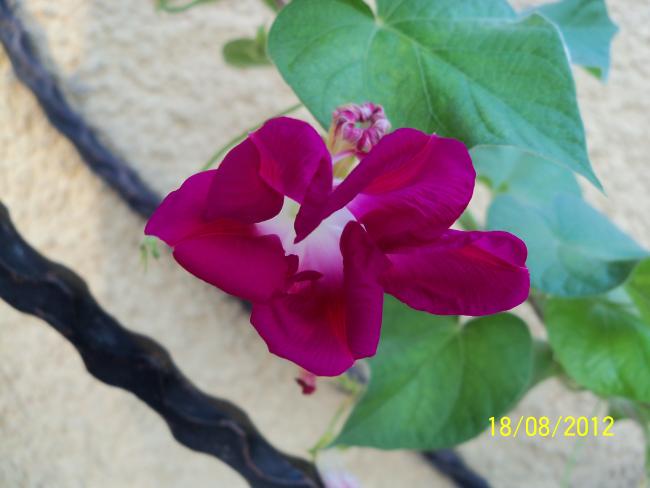 Name:  101_0729.jpg
Views: 1210
Size:  31.1 KB