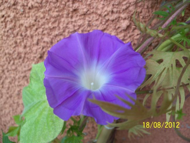 Name:  101_0788.jpg
Views: 1251
Size:  40.8 KB