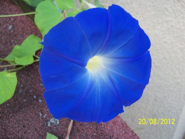 Name:  101_0928.jpg
Views: 1190
Size:  35.0 KB