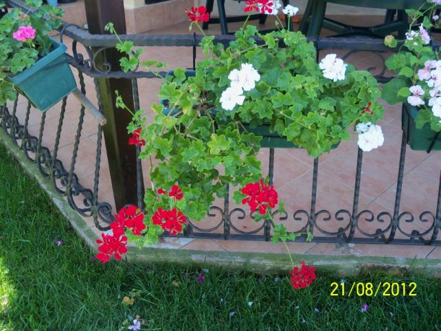 Name:  101_1111.jpg
Views: 1184
Size:  70.7 KB