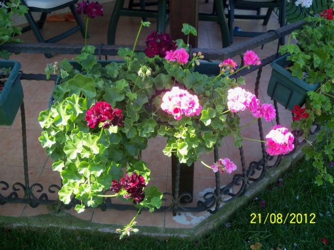 Name:  101_1113.jpg
Views: 1207
Size:  62.4 KB