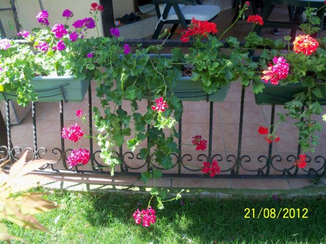 Name:  101_1117.jpg
Views: 1216
Size:  70.9 KB