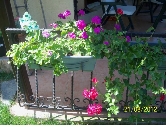 Name:  101_1119.jpg
Views: 1184
Size:  65.3 KB