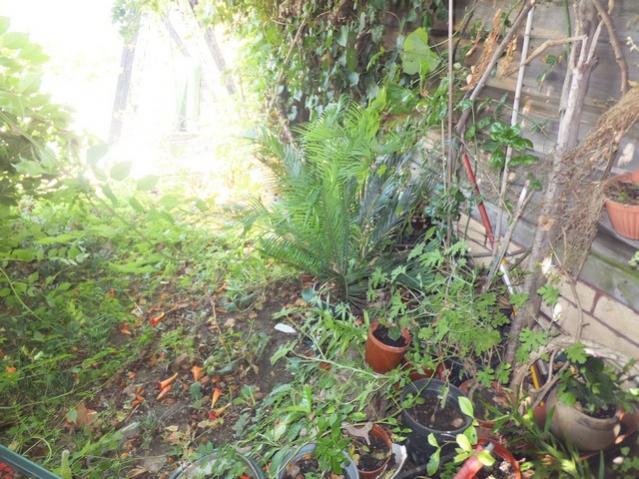 Name:  DSCF4720.jpg
Views: 370
Size:  68.5 KB