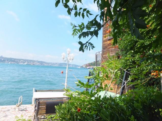 Name:  DSCF4727.jpg
Views: 370
Size:  56.3 KB