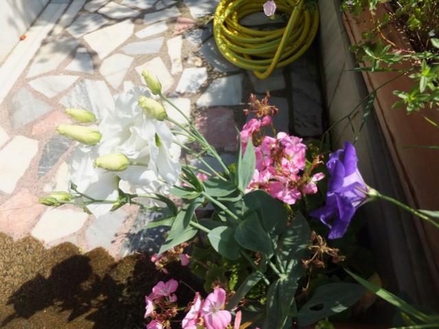 Name:  DSCF4728.jpg
Views: 370
Size:  51.7 KB