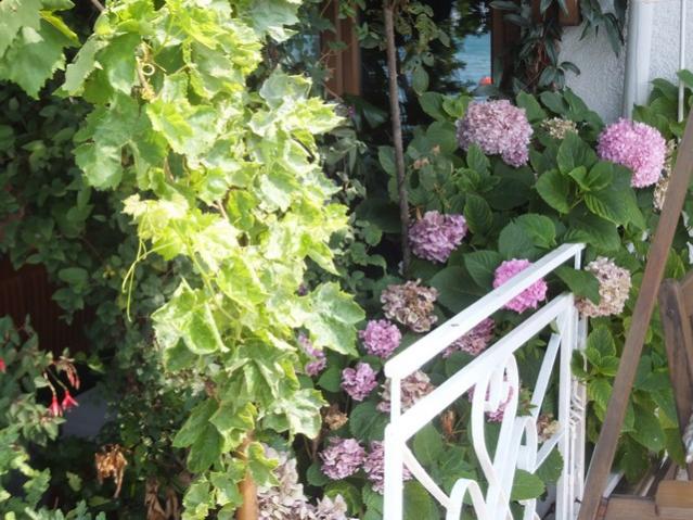 Name:  DSCF4729.jpg
Views: 349
Size:  65.6 KB