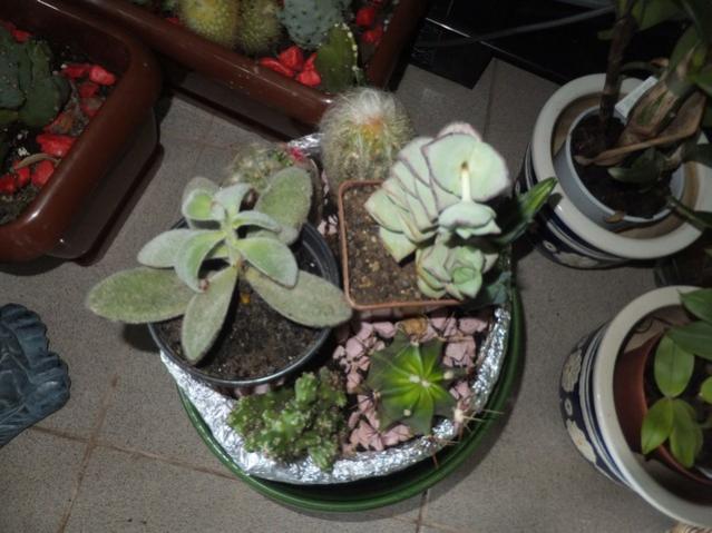 Name:  DSCF4734.jpg
Views: 336
Size:  47.3 KB