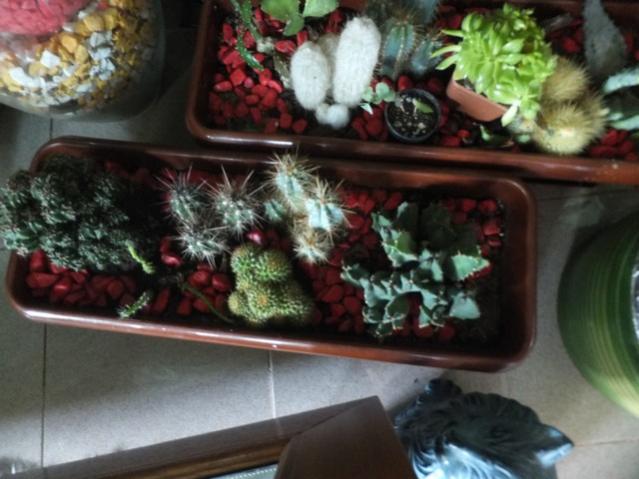 Name:  DSCF4736.jpg
Views: 348
Size:  45.5 KB