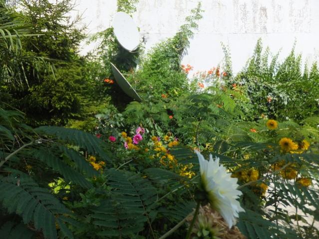 Name:  DSCF4739.jpg
Views: 343
Size:  64.3 KB