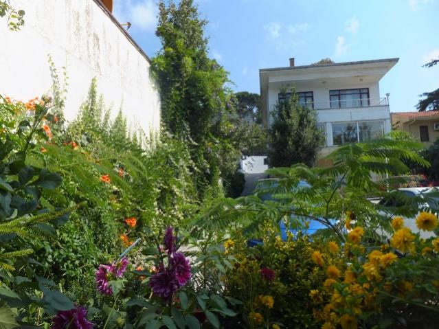 Name:  DSCF4777.jpg
Views: 505
Size:  62.7 KB