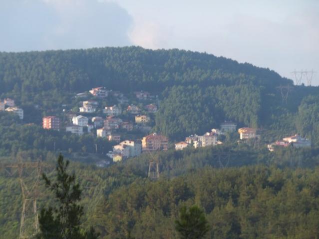Name:  DSCF4798.jpg
Views: 471
Size:  32.6 KB