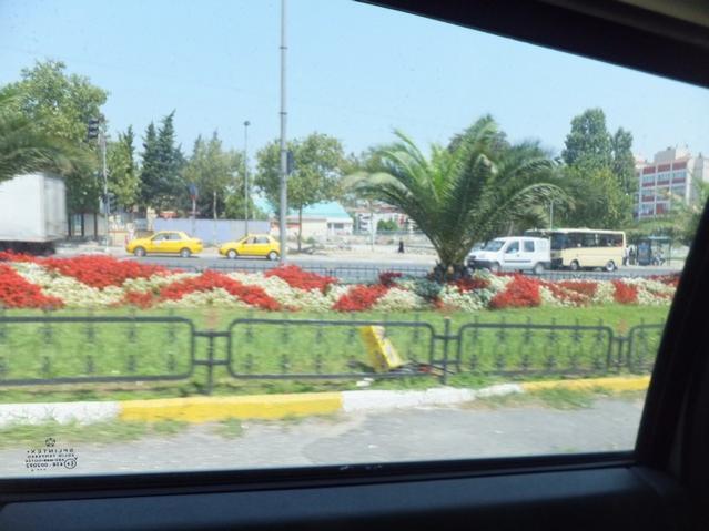 Name:  DSCF5062.jpg
Views: 698
Size:  43.7 KB