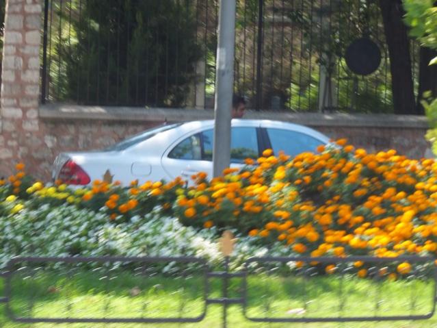 Name:  DSCF5076.jpg
Views: 701
Size:  54.1 KB