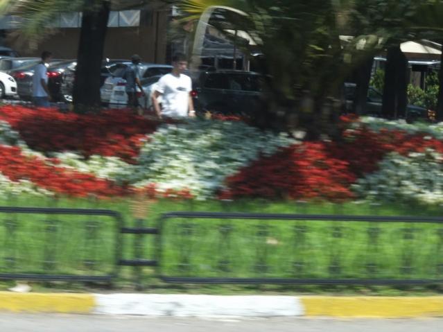 Name:  DSCF5079.jpg
Views: 695
Size:  42.5 KB