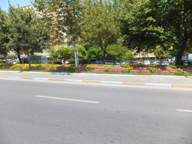 Name:  DSCF5091.jpg
Views: 682
Size:  57.0 KB
