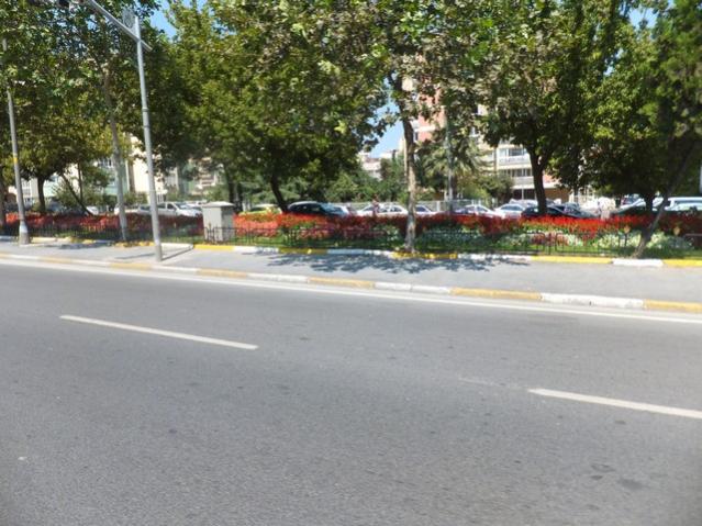 Name:  DSCF5093.jpg
Views: 687
Size:  59.1 KB