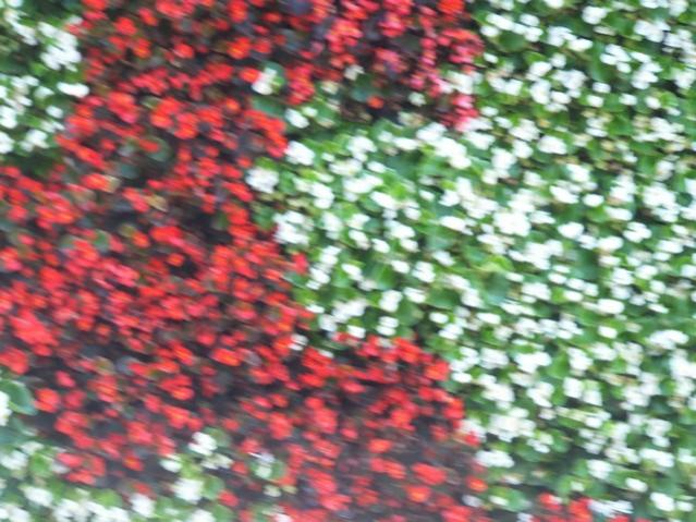 Name:  DSCF5105.jpg
Views: 653
Size:  62.9 KB