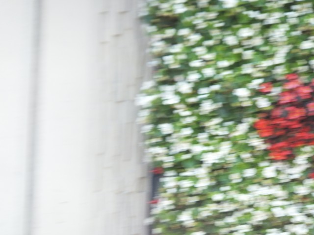 Name:  DSCF5106.jpg
Views: 663
Size:  61.8 KB