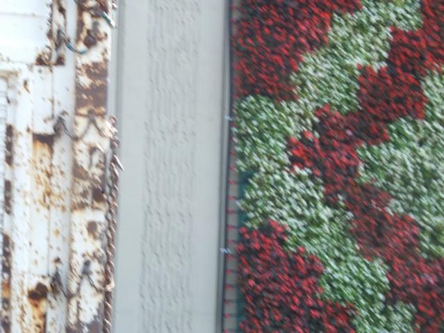 Name:  DSCF5107.jpg
Views: 665
Size:  51.6 KB